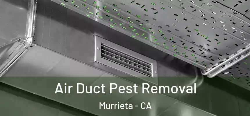 Air Duct Pest Removal Murrieta - CA