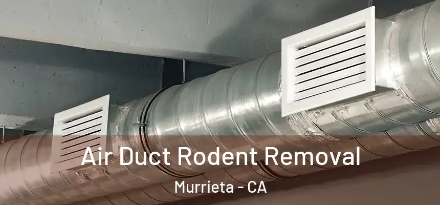  Air Duct Rodent Removal Murrieta - CA