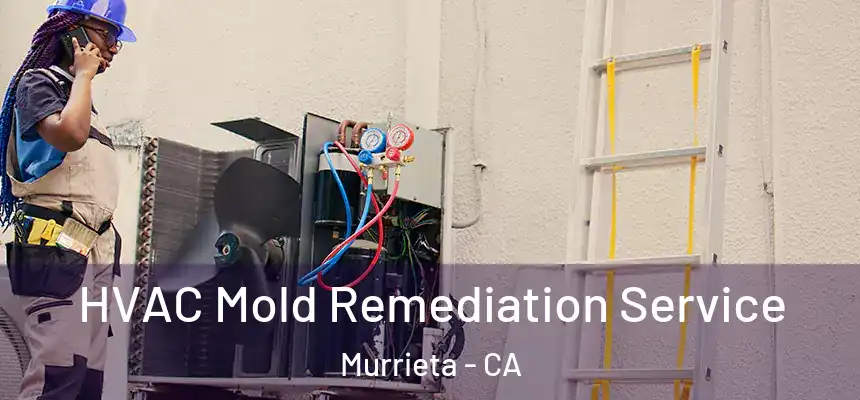  HVAC Mold Remediation Service Murrieta - CA