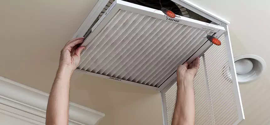 Preventive Cockroach-Proofing for Ducts in Murrieta