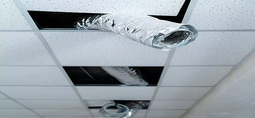 Our Air Duct Pet Hair Removal Services in Murrieta, CA