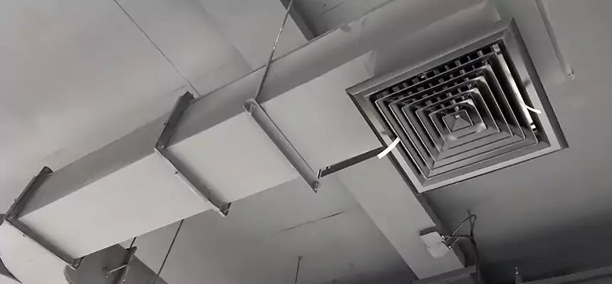 Restorative Allergy Relief Vent Cleaning – Coil, Blower & Housing Detail in Murrieta