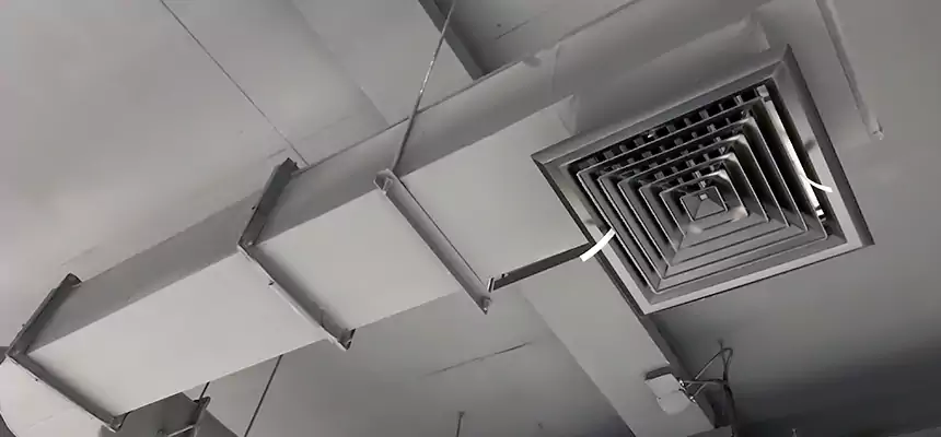 Our Pest Removal From Ducts Services in Murrieta, CA