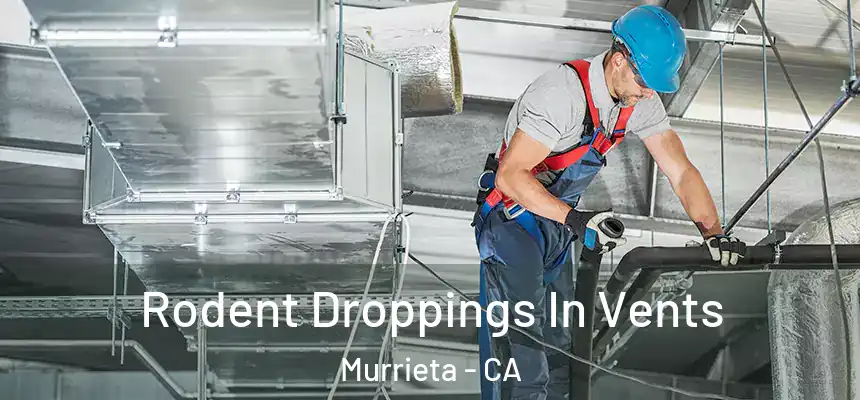 Rodent Droppings In Vents Murrieta - CA