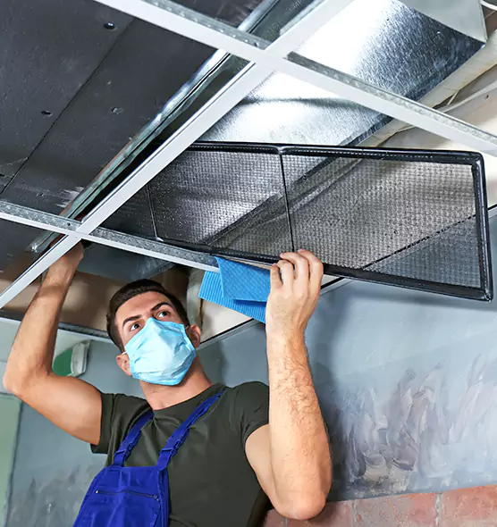About Air Duct Bacteria Removal in Murrieta