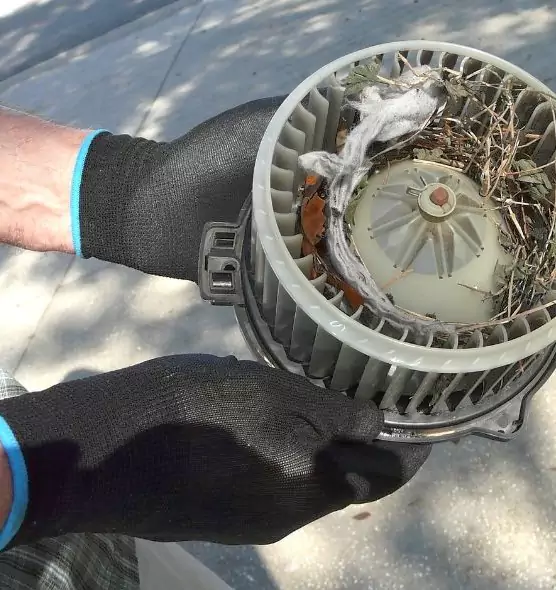 About Air Duct Mice Removal in Murrieta, CA