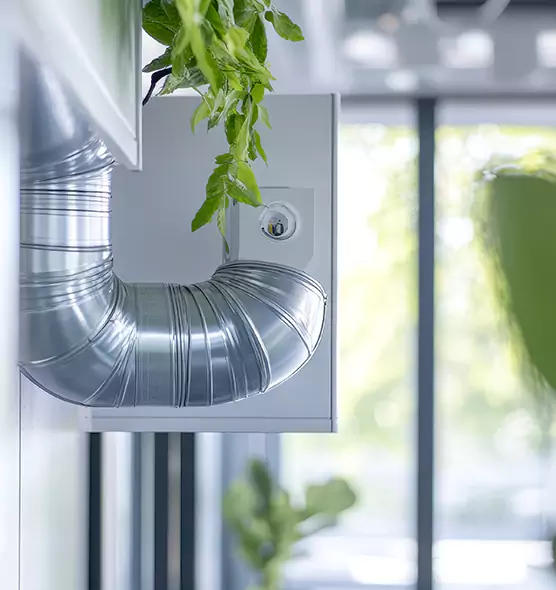 Professional Eco-Friendly Duct Cleaning Services in Murrieta, CA