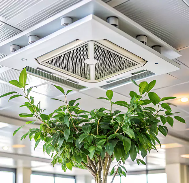 Why Homeowners & Businesses Trust Us in Murrieta, CA?